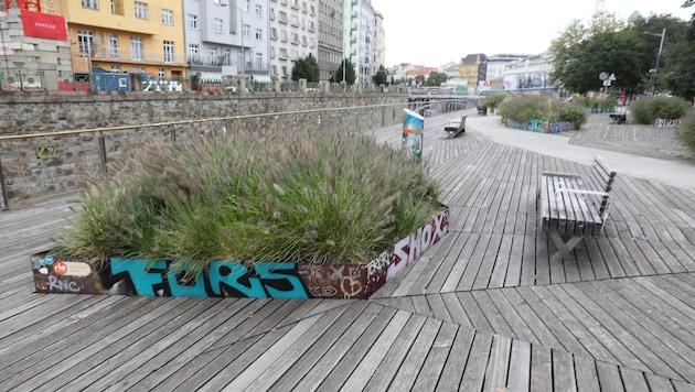 So richtig zum Verweilen lädt die Wiental-Terrasse bei der U4-Station Pilgramgasse nicht ein.