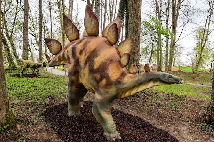 T-Rex und Co. erwachen am Samstag in Katzenberg aus dem Winterschlaf.