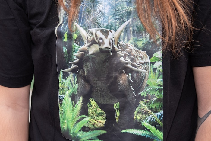 Der fünf Meter große Struthiosaurus Austriacus wurde in Muthmannsdorf gefunden.