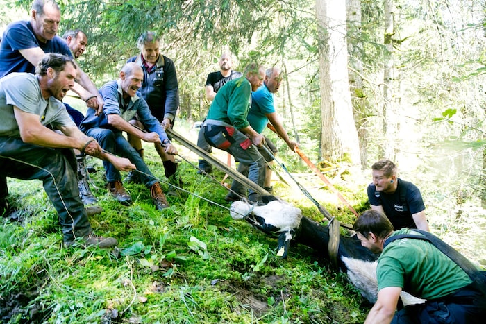 Einige hundert Kilo mussten bergwärts gezogen werden.