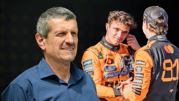 Günther Steiner ist der Meinung, McLaren sollte sich im WM-Kampf auf einen Fahrer konzentrieren.