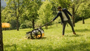 Gründer David Brunmayr aus Rohr im Kremstal einer seiner Obstraupen.
