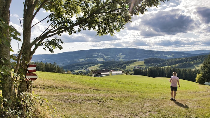 Ein herrlicher Weitblick über das Tal eröffnet sich den Wandersleuten.