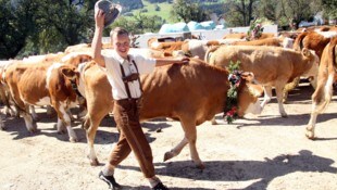 Der Almabtrieb ist jedes Jahr ein Volksfest mit Brauchtum