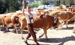 Der Almabtrieb ist jedes Jahr ein Volksfest mit Brauchtum