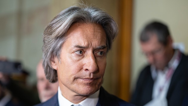 Anfang September erlitt der ehemalige Finanzminister Karl-Heinz Grasser, der seine Haftstrafe in ...