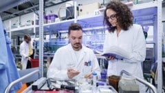 Im Studienfach Microbiome Science lernen Studierende biomedizinische und molekulare Fragen zu ...