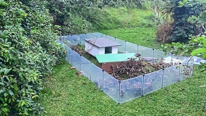 Ein wenige Quadratmeter großes, umzäuntes Gehege samt Häuschen ist für die Auswilderung ...