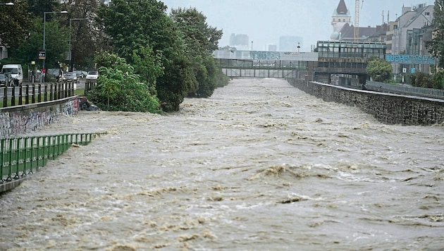 Der Wienfluss entwickelte sich innerhalb weniger Stunden zum reißenden Gewässer.