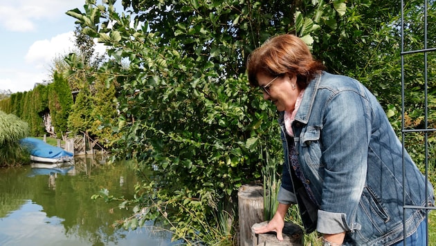 Trügerische Idylle an der Fischach: Anrainerin Irene Mühl hofft, dass es bald einen ...