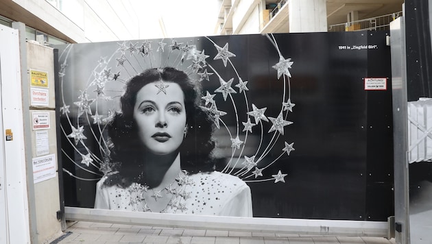Nach der Filmikone Hedy Lamarr sollte Benkos Prestigeprojekt auf der Wiener Mariahilfer Straße ...