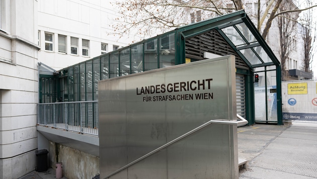 The accused Viennese man made his furniture disappear - it should have been seized.