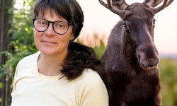 Wiebke Neumann ist renommierte Elchforscherin in Schweden.
