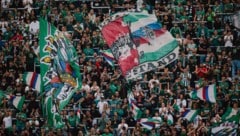 Derzeit gibt es für Rapid auf und neben dem Platz erfreuliche Neuigkeiten. 