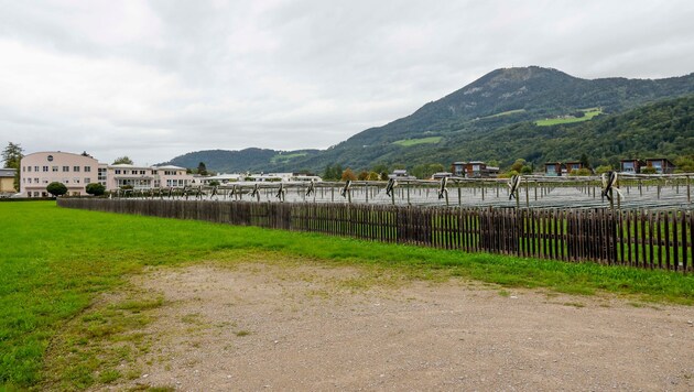 Am Konzept für die Stadt wird gefeilt, Stellungnahmen der Bevölkerung sind ab Anfang Oktober ...