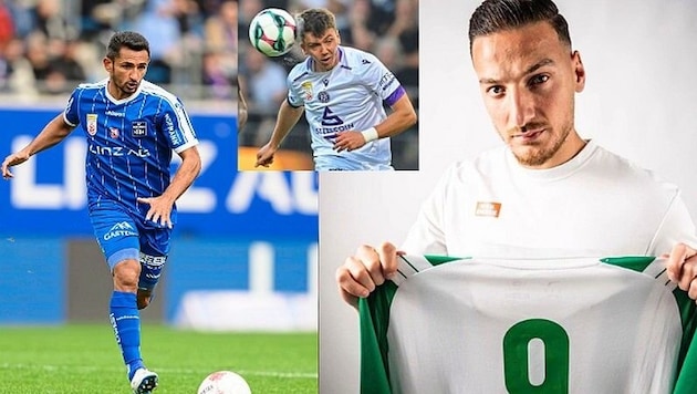 Wer ist der beste Neuner der Bundesliga?