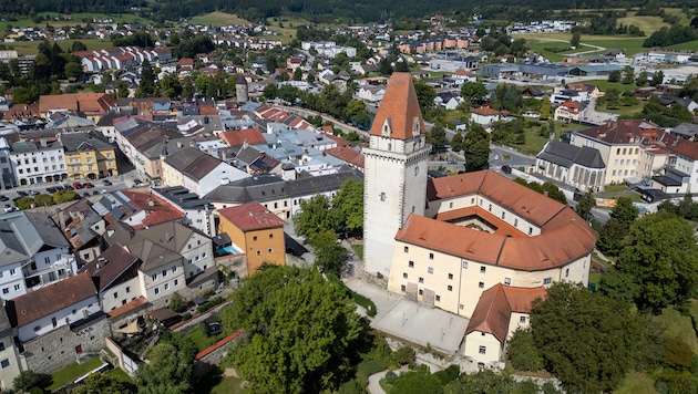 Vor einem Jahr flog in Freistadt der Betrugsfall beim Regionalverein „Mühlviertler Kernland“ ...