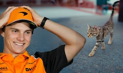Auch Oscar Piastri kann es derzeit nicht mit der „Paddock Cat“ aufnehmen.