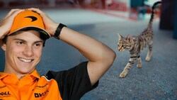 Auch Oscar Piastri kann es derzeit nicht mit der „Paddock Cat“ aufnehmen.