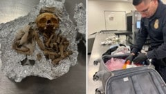 Die grausige Entdeckung wurde am Flughafen Tampa gemacht. 