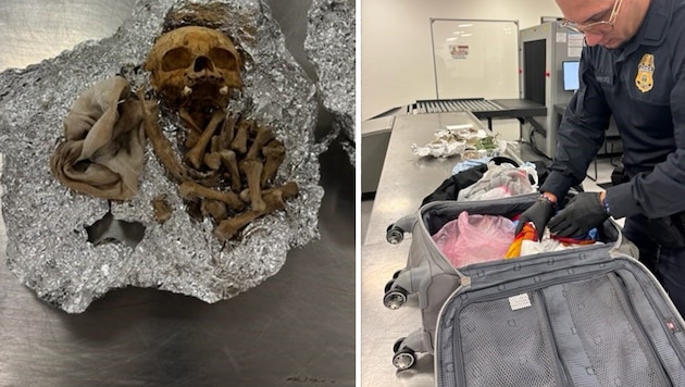 Die grausige Entdeckung wurde am Flughafen Tampa gemacht.