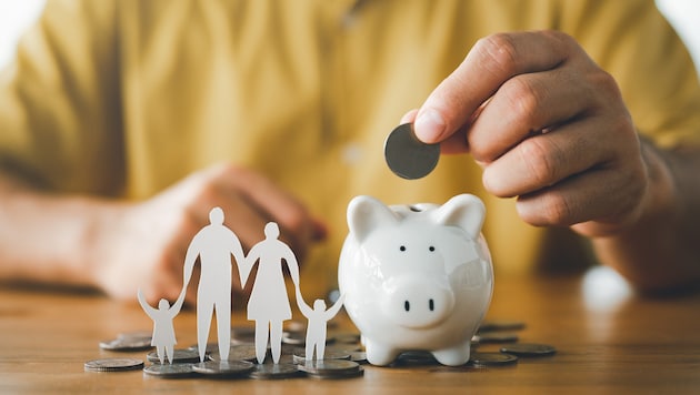 Finanziert werden die Familienleistungen aus dem Familienlastenausgleichsfond (FLAF), der 1955 ...