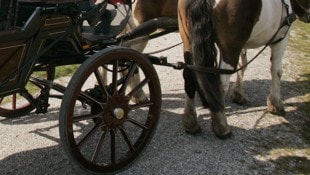 Die Kutsche stürzte bei dem Zwischenfall um.