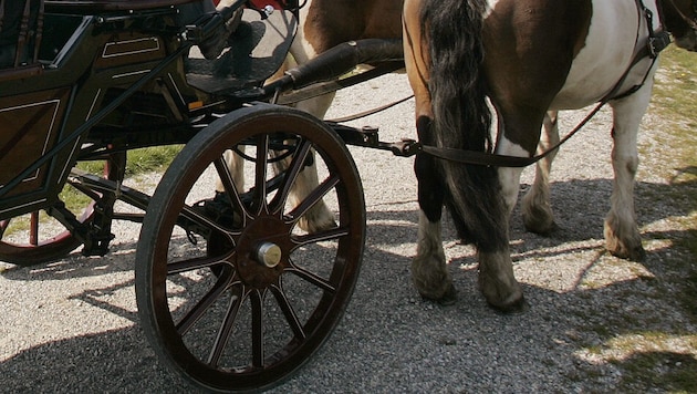 Die Kutsche stürzte bei dem Zwischenfall um.
