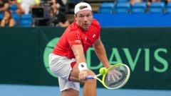 Lucas Miedler