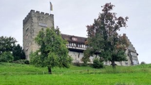 Eindrucksvoll thront das märchenhafte Schloss Wolfurt auf der Anhöhe.