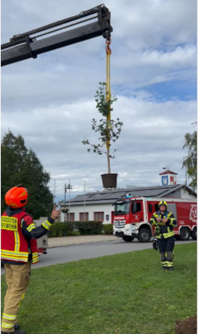 Die Parndorfer Feuerwehrcrew ließ den „schweren“ Baum per Kran an seinen Platz fliegen.