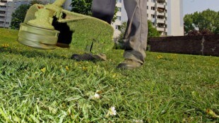 Ein 31-Jähriger erlitt schwere Schnittverletzungen. (Symbolfoto)