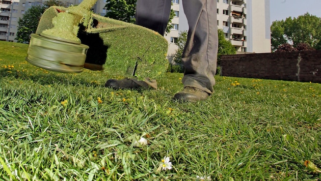 Ein 31-Jähriger erlitt schwere Schnittverletzungen. (Symbolfoto)