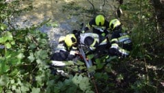 Einsatz für die Freiwilligen Feuerwehren Mürzsteg und Neuberg an der Mürz