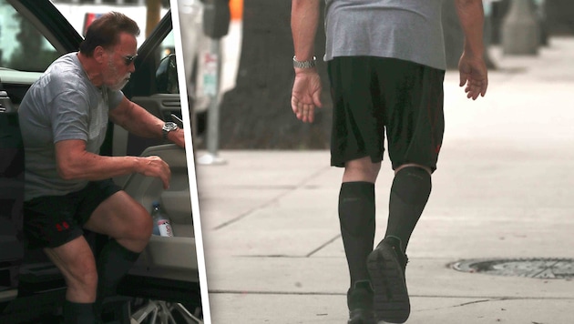 Arnold Schwarzenegger macht einen Abstecher in die Apotheke – im lässigen Old-Terminator-Look ...