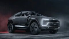 Mahindra hat eine offizielle Lizenz erworben.