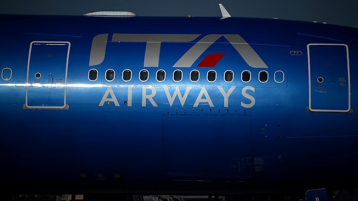 Am Dienstag hebt ITA Airways erstmals mit großen Hunden in der Kabine ab.