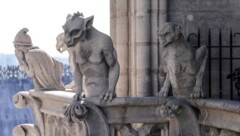 Besucher können wieder die Türme des 850 Jahre alten Gotteshauses besichtigen.