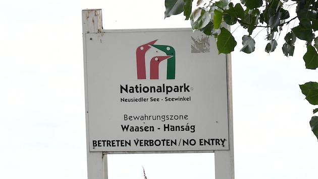 Der Hanság ist Heimat von vielen Tieren, wie zum Beispiel des Kaiseradlers oder der Großtrappe. ...