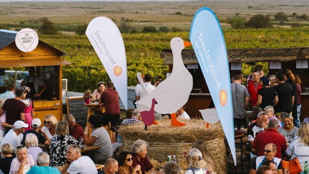 Gemütlich in den Oktober mit Schmankerln bei „Gans am Neusiedler See“