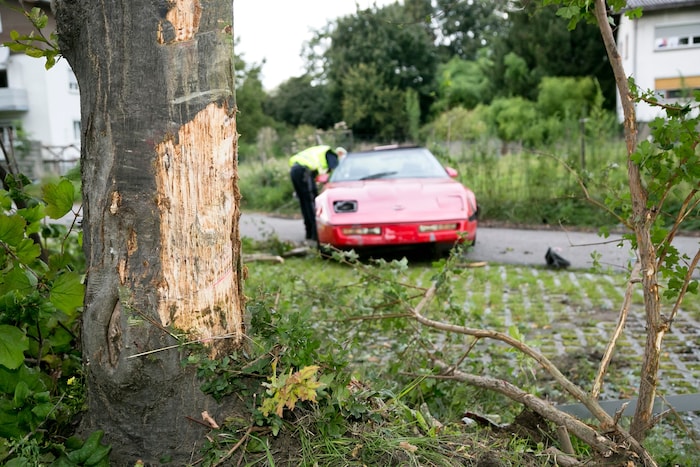 Der Lenker krachte gegen einen Baum.