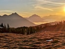 Der Herbst zeigt sich von seiner sonnigen Seite, doch in der Früh wird es bereits frostig: ...