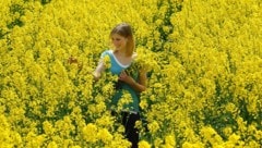 Als leuchtend gelbe Streifen ziehen sich Rapsfelder durch die Landschaft – aber immer seltener. 