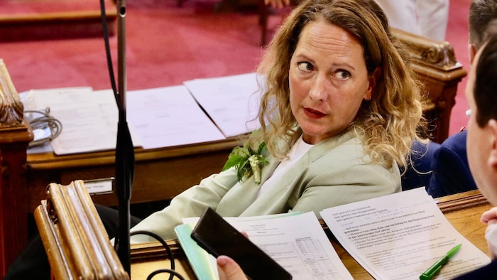 Pühringer (Grüne) blies zum Halali auf Rot-Pink II