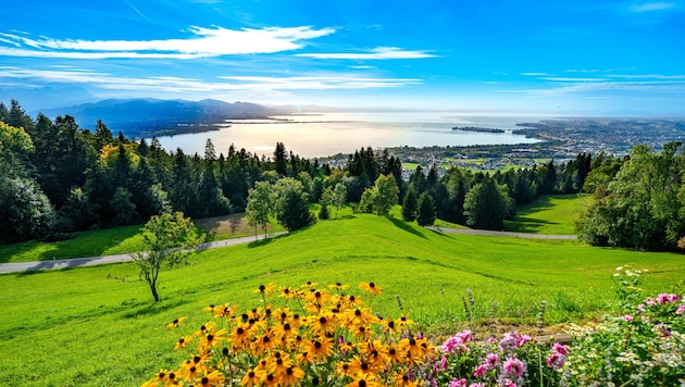 Bis die Herbstsonne wieder vom Himmel lacht, werden in einigen Bundesländern noch ein paar Tage ...