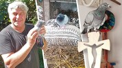 „Sie saß plötzlich da in der Nähe meines Hauses und konnte kaum laufen“: Michael Bübl und seine ...