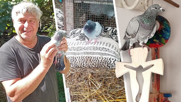 „Sie saß plötzlich da in der Nähe meines Hauses und konnte kaum laufen“: Michael Bübl und seine ...