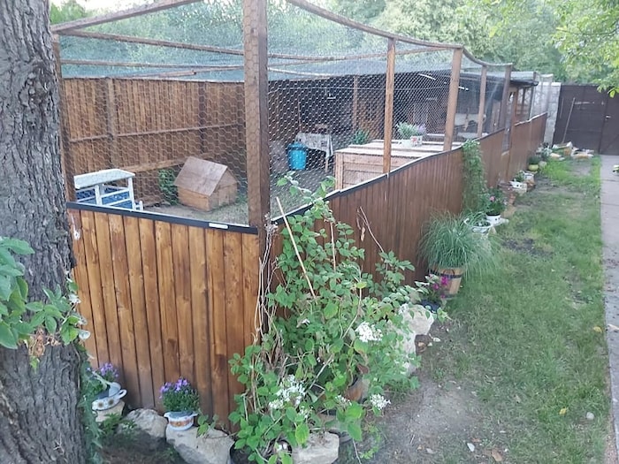 Ein liebevoll eingerichtetes Zuhause für herrenlose Katzen.