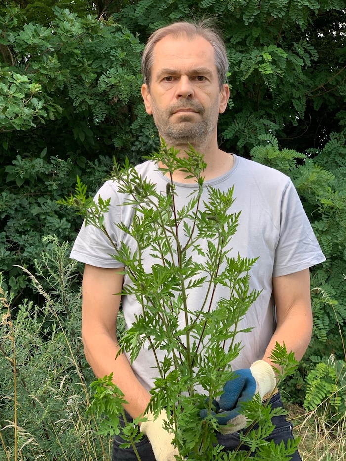 Spitzmüller ist nicht mehr Ragweed-Beauftragter in seiner Gemeinde.