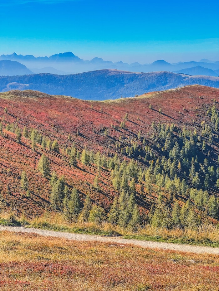 Die Kärntner Nockberge leuchten in ihrer herbstlichen Farbenpracht
